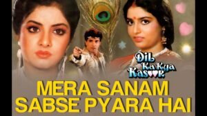 Mera Sanam Sabse Pyara Hai Lyrics – मेरा सनम सबसे प्यार है