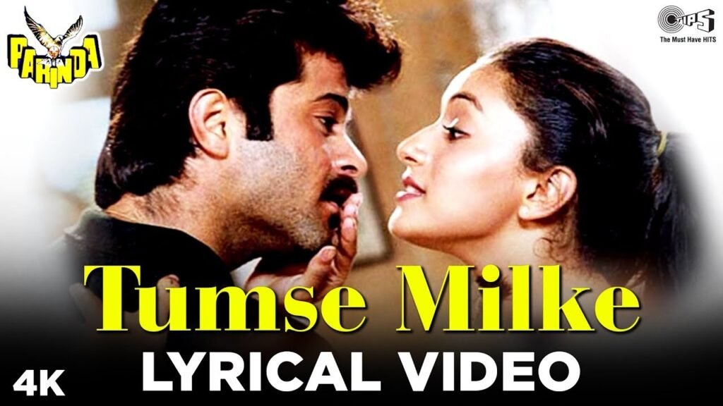 Tumse Milke, Aisa Laga Lyrics – तुमसे मिल के, ऐसा लगा – Parinda