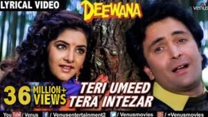 Teri Umeed Tera Intezar Lyrics – तेरी उम्मीद तेरा इंतज़ार – Deewana